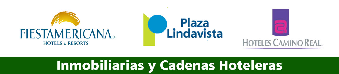 Inmobiliarias y cadenas Hoteleras